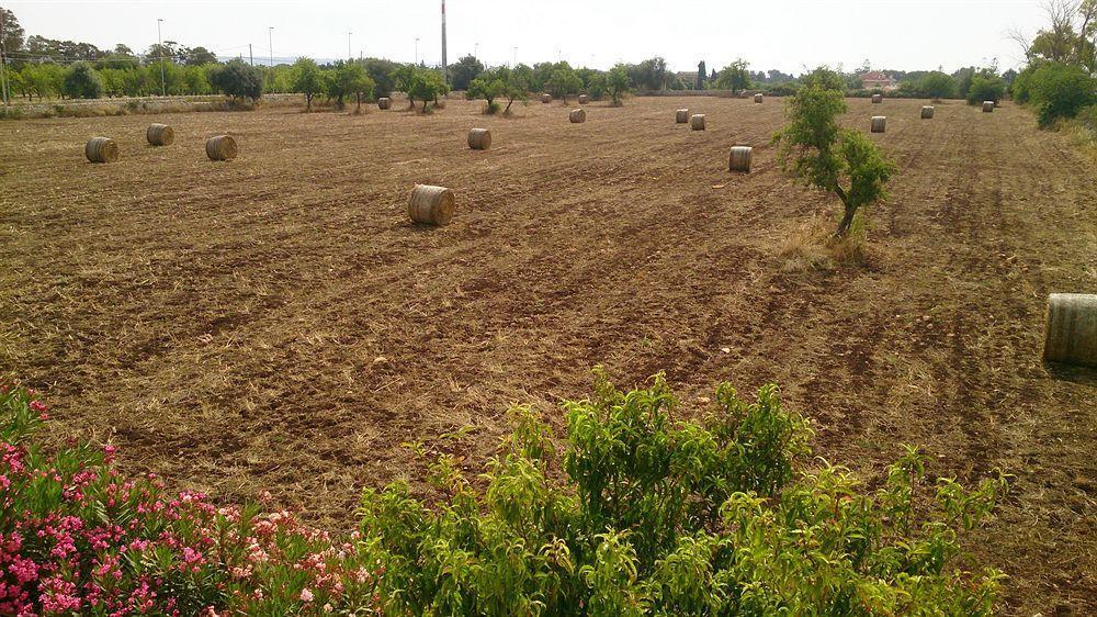 Il Mirto E La Rosa Bed & Breakfast Agrigento Eksteriør bilde